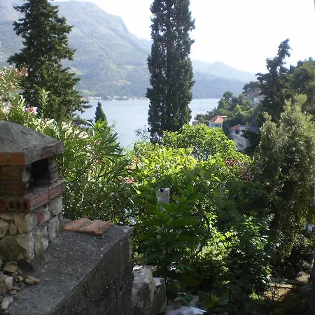 Zuvela Korčula
