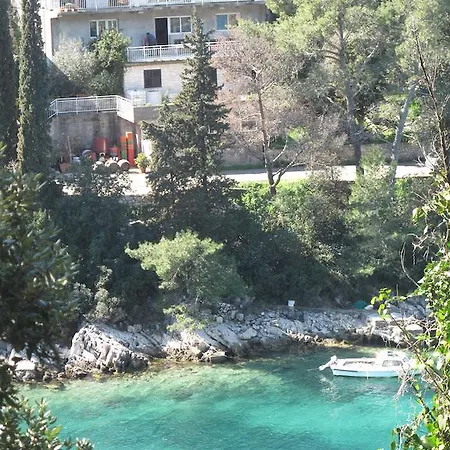 Apartment Zuvela